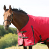 HyCONIC 100g Turnout Rug