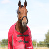 HyCONIC 200g Turnout Rug
