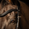 ProPresicce Pelle Crank Leather Bridle by Hy Equestrian