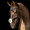 ProPresicce Pelle Grackle Leather Bridle by Hy Equestrian