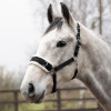 Hy Equestrian Lunge Cavesson