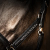 ProPresicce Softy Leather Head Collar by Hy Equestrian