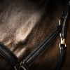 ProPresicce Softy Leather Head Collar by Hy Equestrian