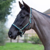 Hy Equestrian Trinity Head Collar