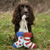 Benji & Flo Tug 'n' Play Dog Toys - Odd Socks
