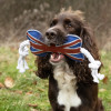 Benji & Flo Tug 'n' Play Dog Toys - Union Jack Bone