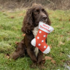 Benji & Flo Christmas Dog Toys - Christmas Stocking