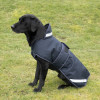 Benji & Flo Waterproof Dog Coat