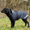 Benji & Flo Waterproof Dog Coat