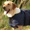 Benji & Flo Teddy Quilted Dog Coat