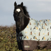 StormX Original It's A Dog's Life 0 Turnout Rug