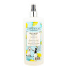 Thelwell Grooming Academy by Hy Equestrian - Who Gives a Buzz Spray