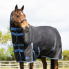StormX Empra Extra 200g Turnout Rug with Detachable Neck