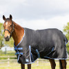 StormX Empra Extra 200g Turnout Rug with Detachable Neck