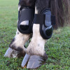 Hy Equestrian Pro Fetlock Boots