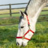 Hy Equestrian Fieldsafe Head Collar