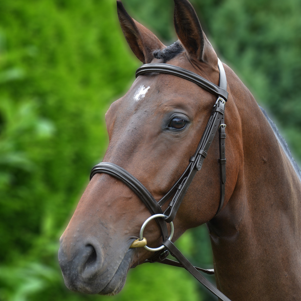 Hy Equestrian - Hy Equestrian Padded Cavesson Bridle with Rubber Grip Reins