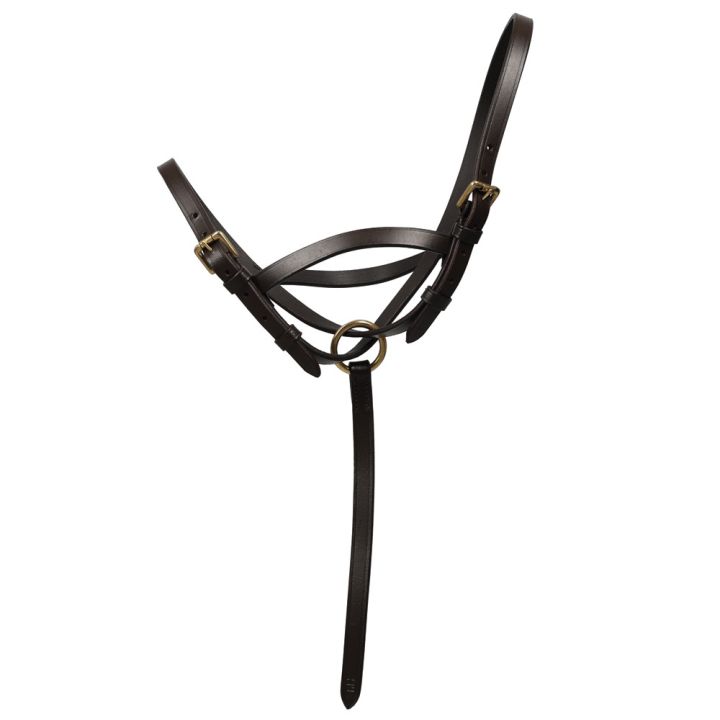 Hy Equestrian Leather Foal Slip