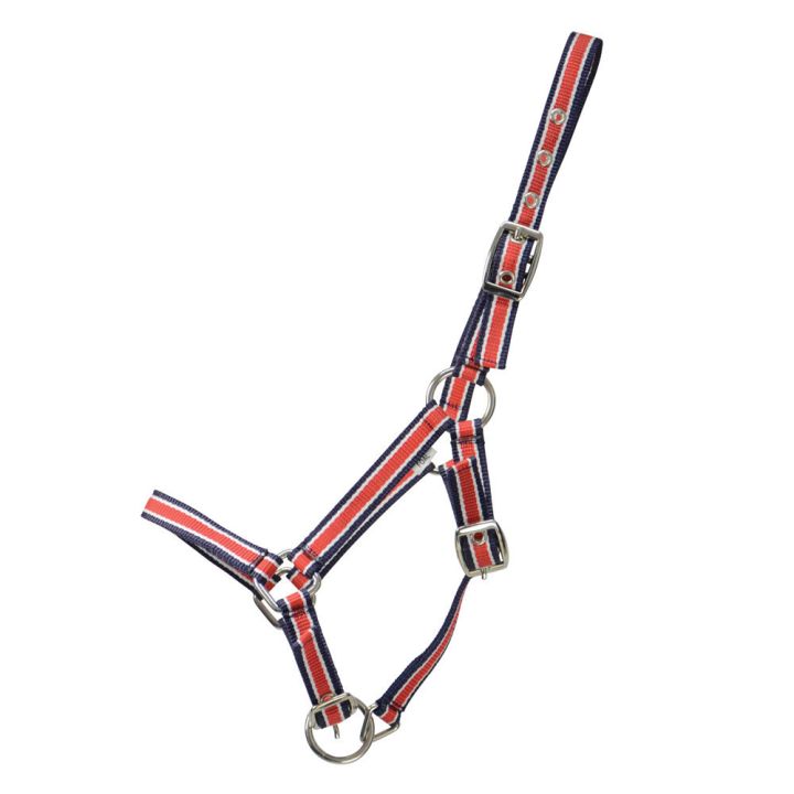 Hy Equestrian Foal Plus Head Collar