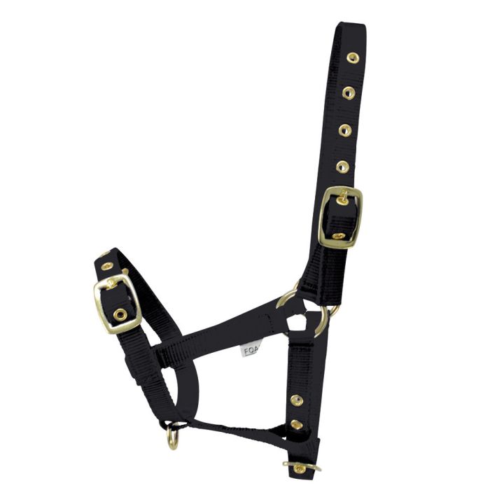 Hy Equestrian Foal Head Collar