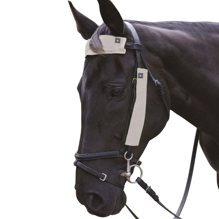 Silva Flash Reflective Bridle Set by Hy Equestrian