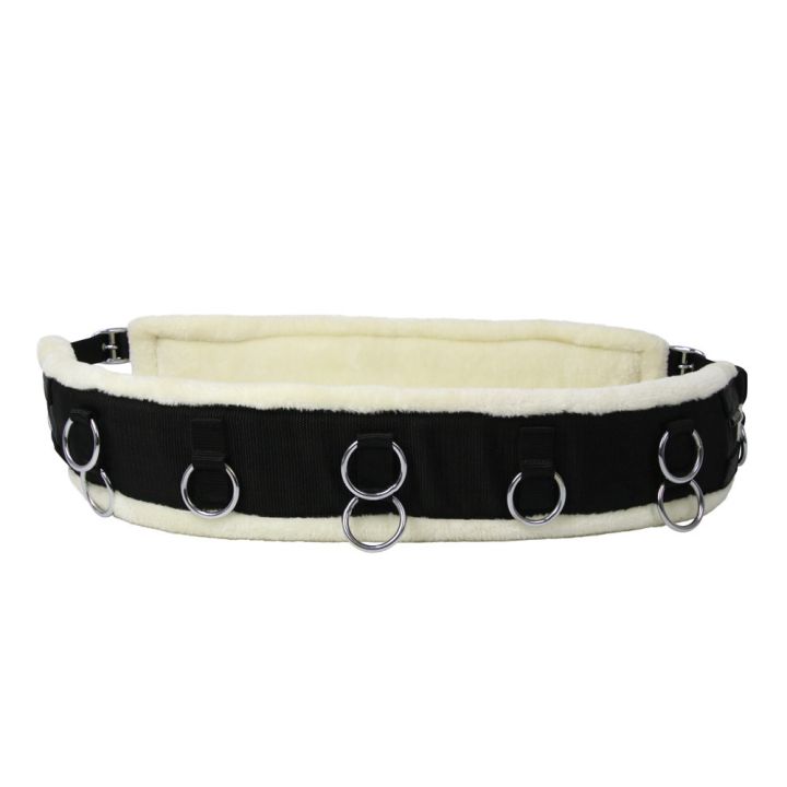Hy Equestrian Lunge Roller