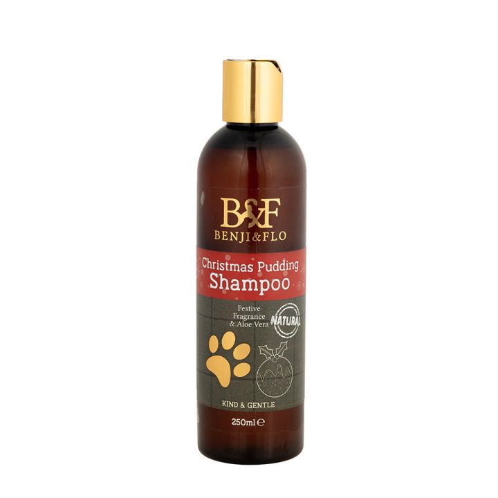 Benji & Flo Christmas Pudding Shampoo