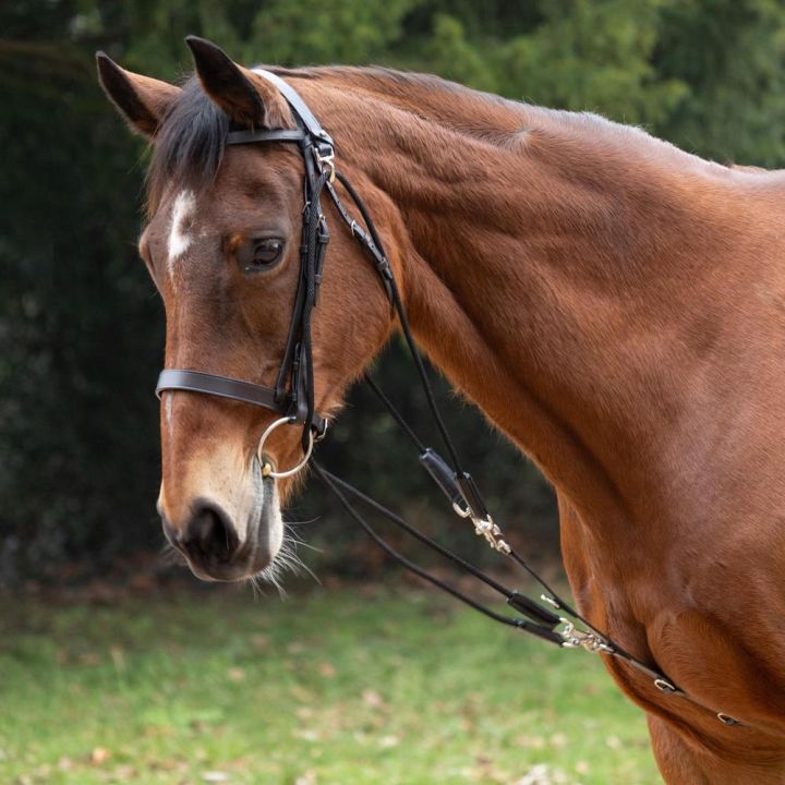 Hy Equestrian De Gouge