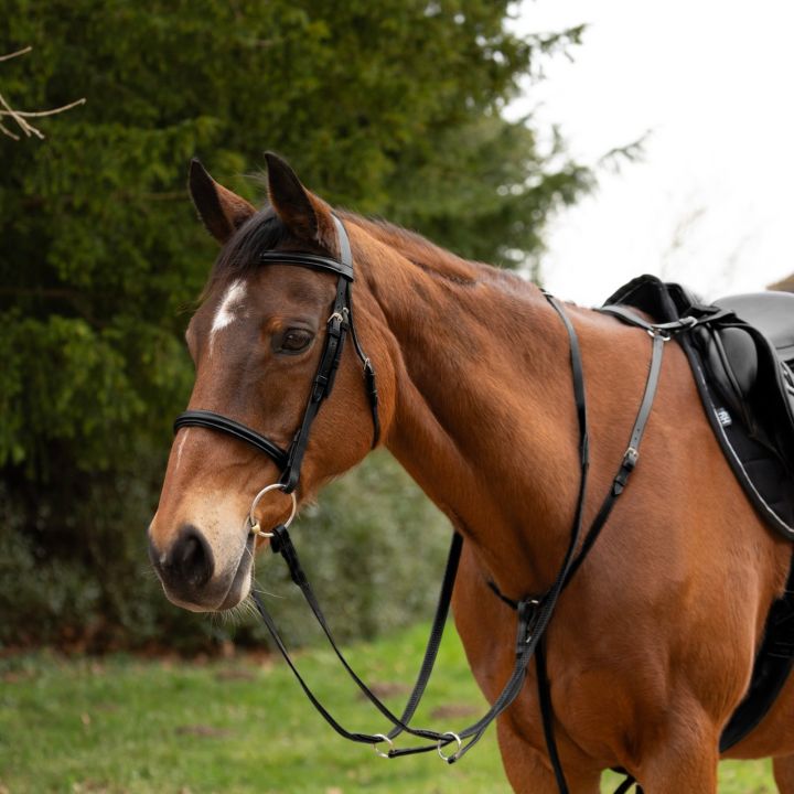 Hy Equestrian Hunting Breastplate