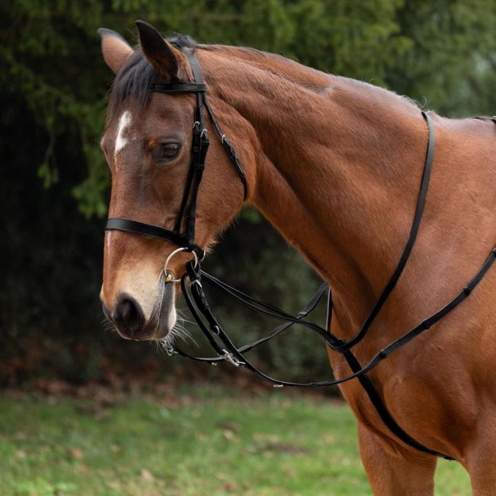 Hy Equestrian Market Harborough