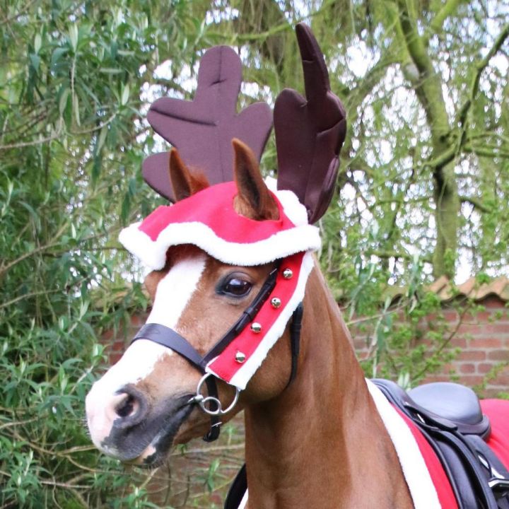 Hy Equestrian Christmas Santa Bridle Set (Set of 3)