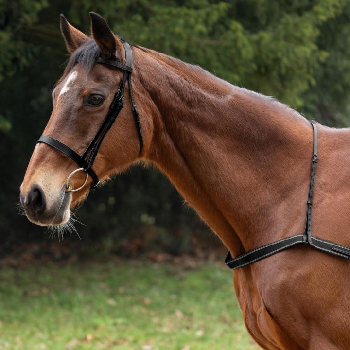 Hy Equestrian Elastic Breastgirth