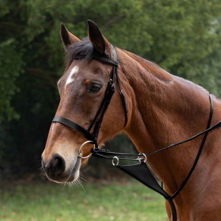 Hy Equestrian Bib Martingale