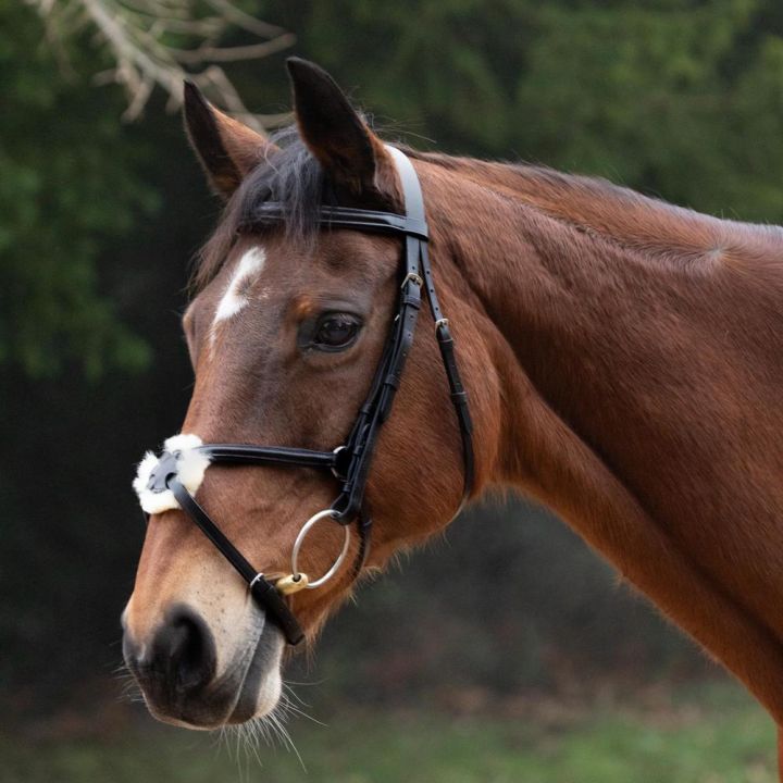 Hy Equestrian Mexican Grackle Bridle with Rubber Grip Reins