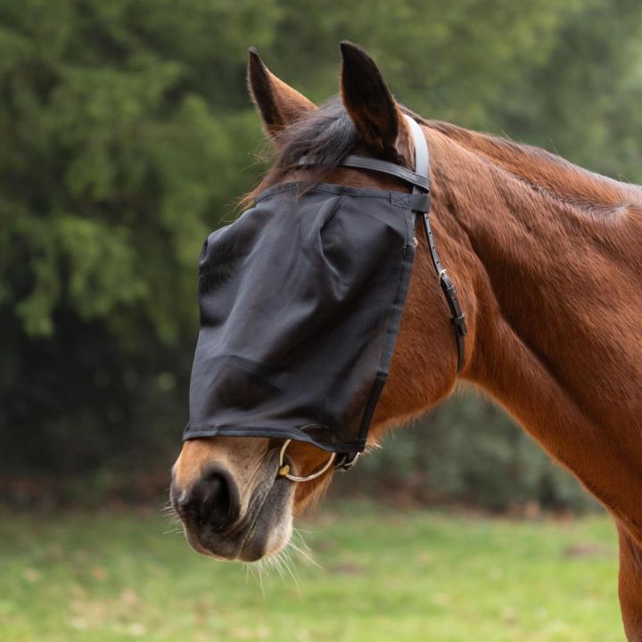 Hy Equestrian Riding Fly Mask