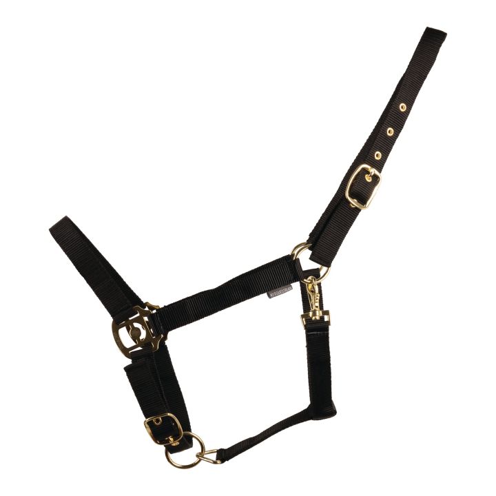 HyCONIC Head Collar