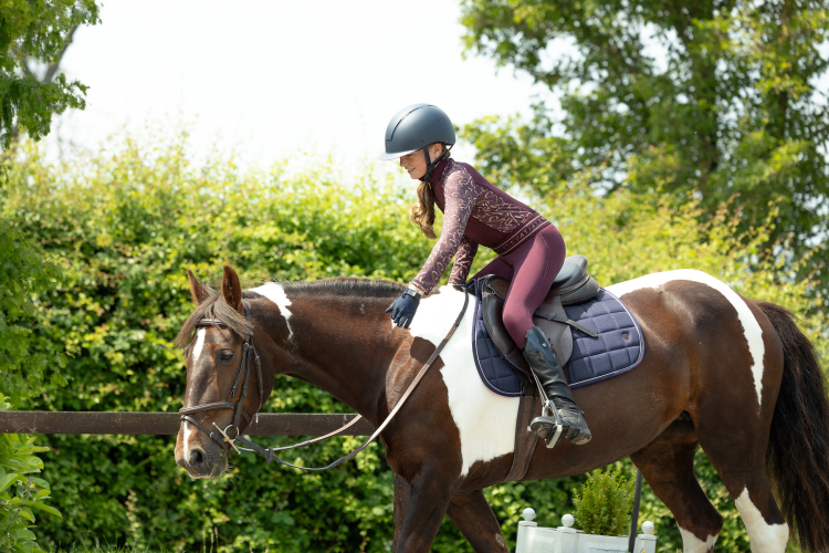 Hy Equestrian Collection 1