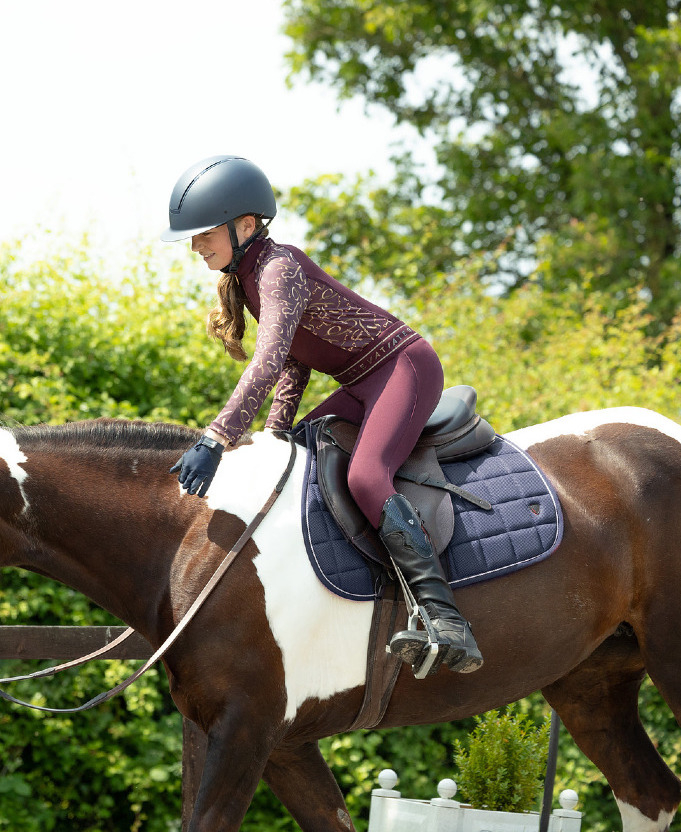 Hy Equestrian Collection 1