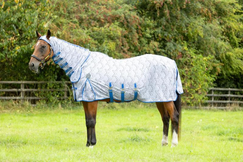 Rugging Horses in Summer: Choosing the Best Summer Rugs for Comfort and Protection